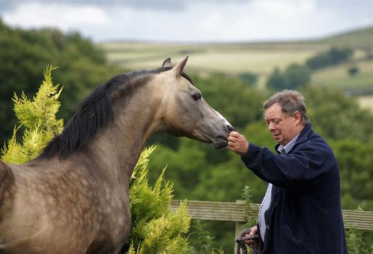 Eyarth Tacoma at Rockbury Stud