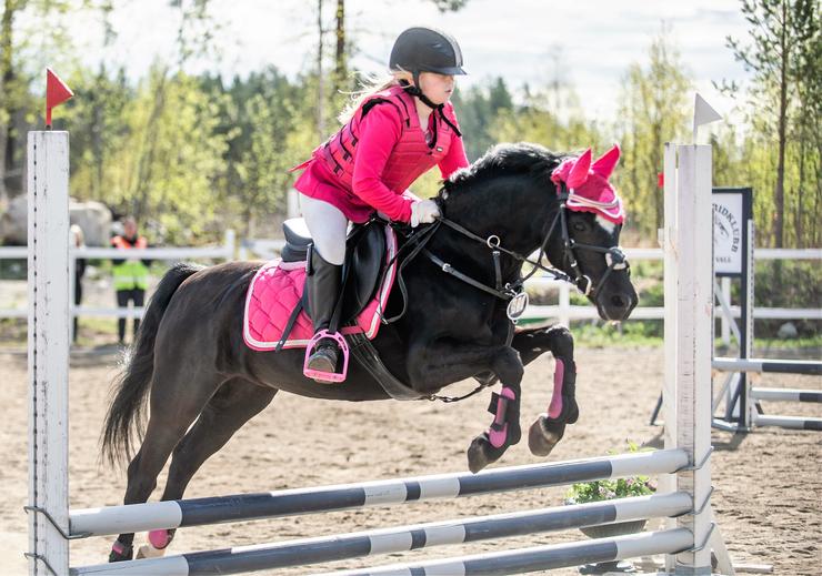 Det här är vad han gör idag (2022) med sin ryttare Iris ♥ ♥ vilket team dom är o så fina ihop!!